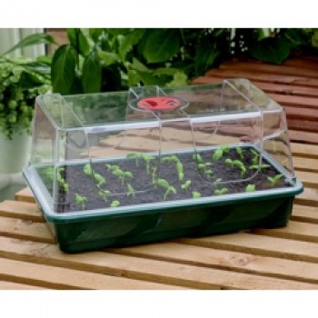 High Dome Propagator - Large High Dome Propagator - Large