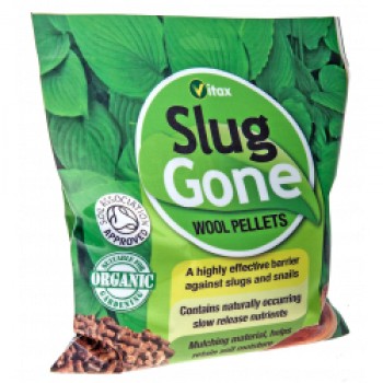 Slug Gone - 3.5L Slug Gone - 3.5L