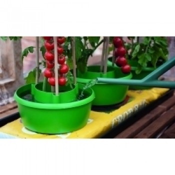 Plant Halos Green - Pack 3 Plant Halos Green - Pack 3