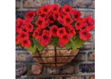 Wire Wall Basket - 14