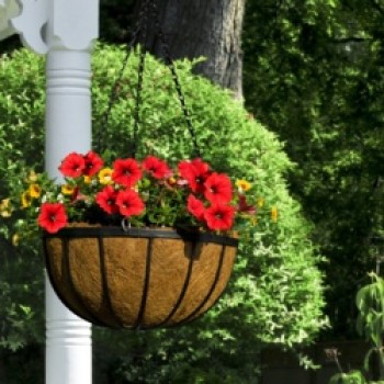 Flat Bar Hanging Basket - 14