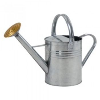 Galvanised Watering Can - 1 Gallon Galvanised Watering Can - 1 Gallon