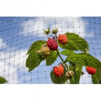Fruit Cage Net - 16 x 2m Fruit Cage Net - 16 x 2m