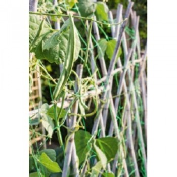 Pea & Bean Net - 4 x 2m