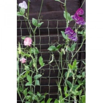 Climbing Plant Support Green - 30 x 0.5m Climbing Plant Support Green - 30 x 0.5m